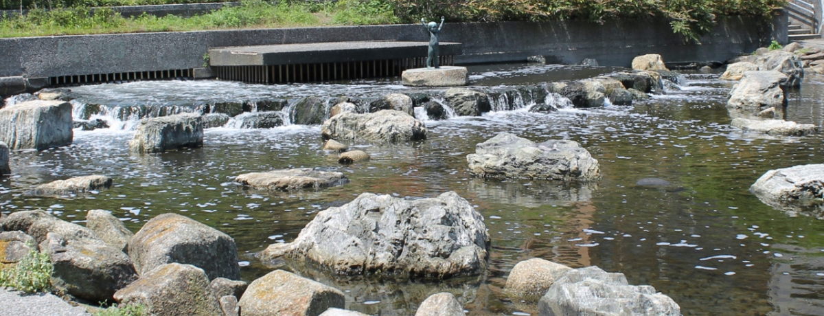 A`ŌÂ̖Ɓ`K}̒rI]Ex