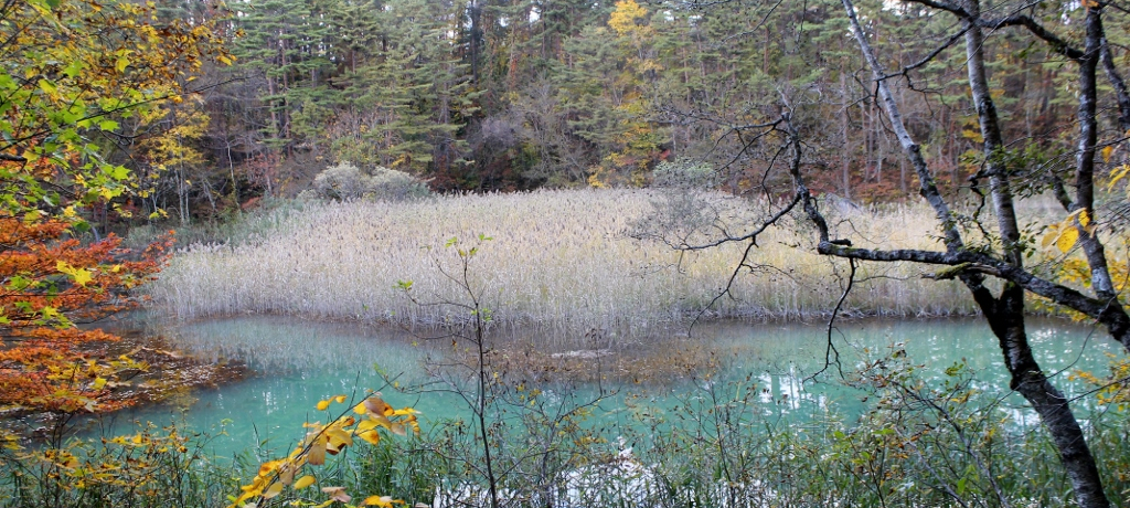 ωɂƂ񂾎lǴI֒`ܐFEO΂𖞋i