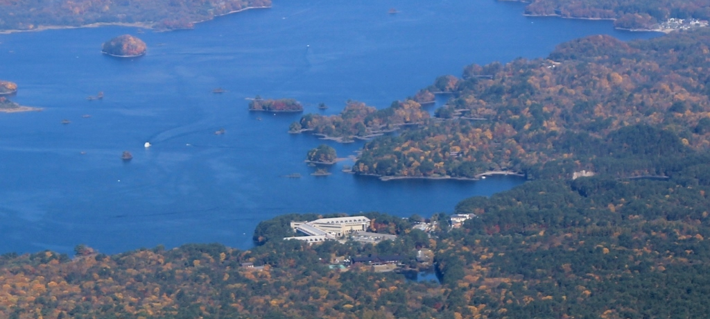 ō̗nID̃P[VIg֒򃌃CN][gh