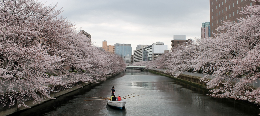 ���ӂ̒����݂��������I�]���您�����߂��Ԍ��X�|�b�g�S�I