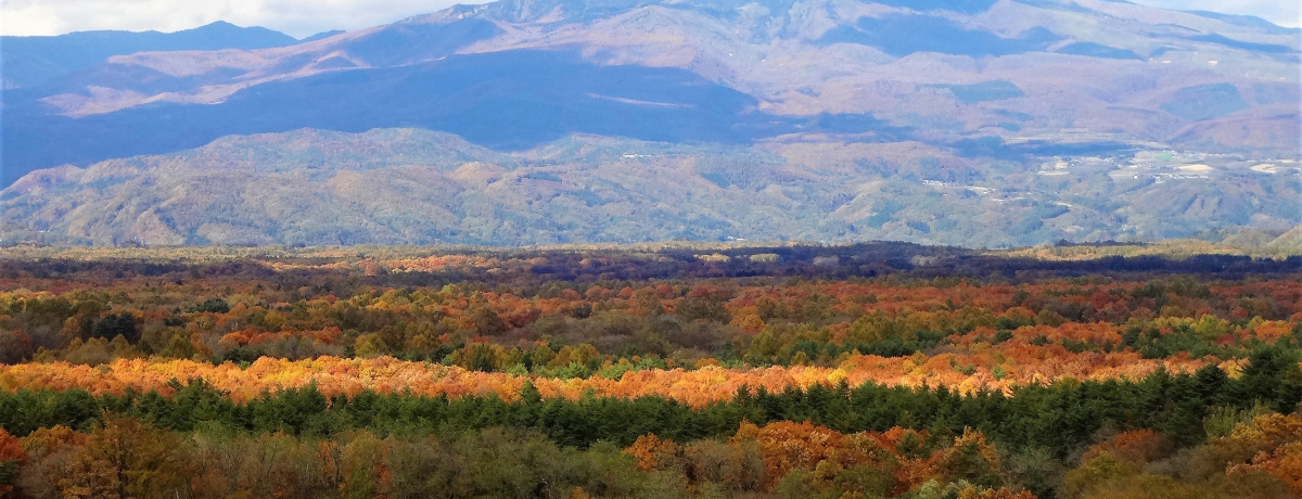 ܂ōgt̊CIQnڗkyŊyޏH̐i