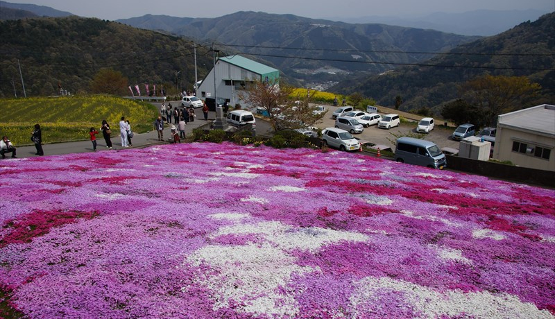 jXʂlXȉԁXcnsw̒݁xӂ̉Ԍǂ