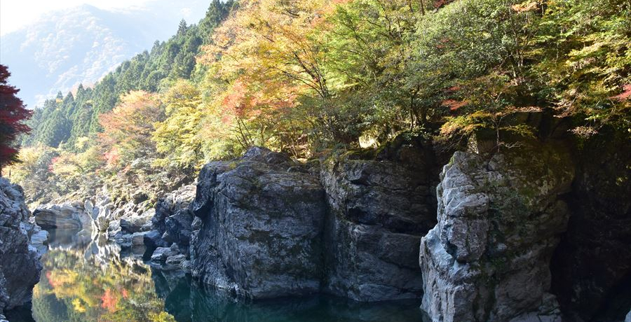 kJ̍gt𖞋i@{O鋫̈̑cJk