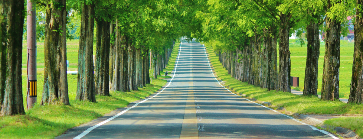 E}Lm̃^ZRCA͔ؓ銴hCu[gI