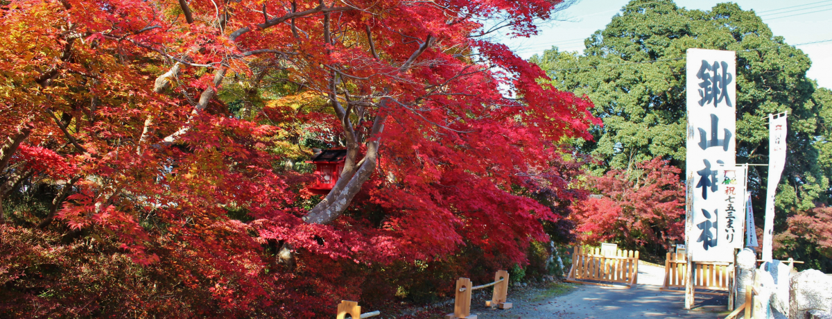 ����������I���s�T���u�L�R�_�Ёv�����G�m�炸�̍g�t�����Ƃ������Ƃ́B