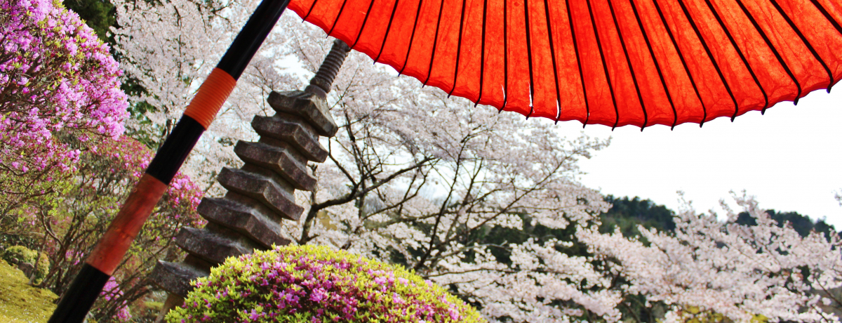 �t������ς�1��100�l����I���s���k�E�������͏t���������Ȃ��������I