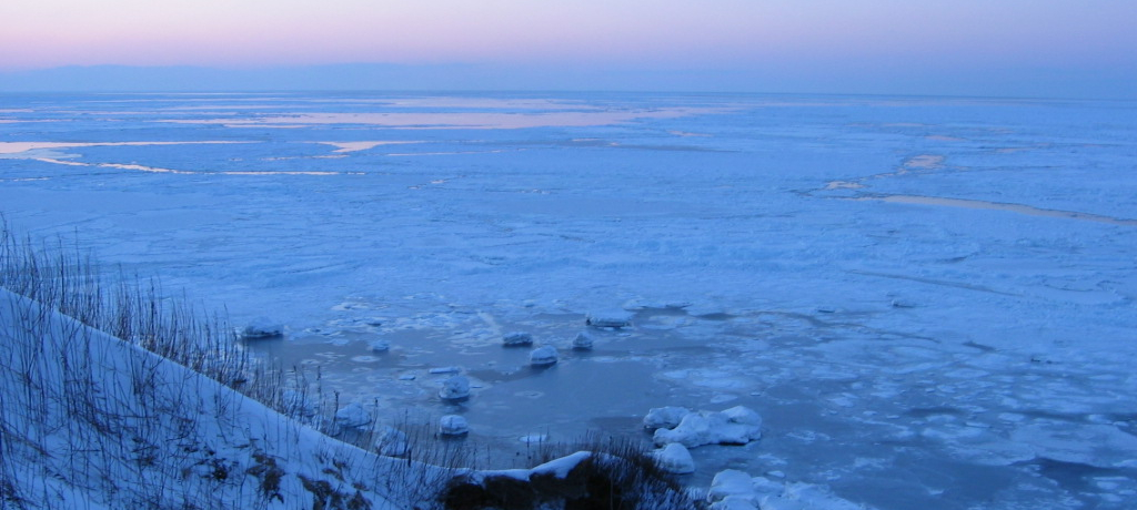 ���X���������I���~�̃I�z�[�c�N���s��