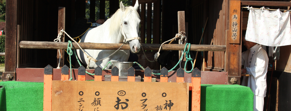 ���s�Łu�n�߂���v�I�ߔN�̂Q�O�P�S�N�͋��s�Łu�n�v�ɂ��Ȃ񂾖��������낤�I