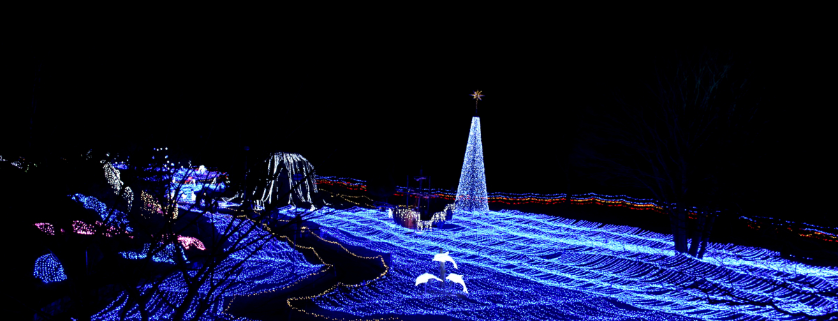 ���R�~�����łP���l����I���s�ő�̃C���~�l�[�V�����I�u�C���~�G�[�����s�v�`���s�{��O�s�E���k����