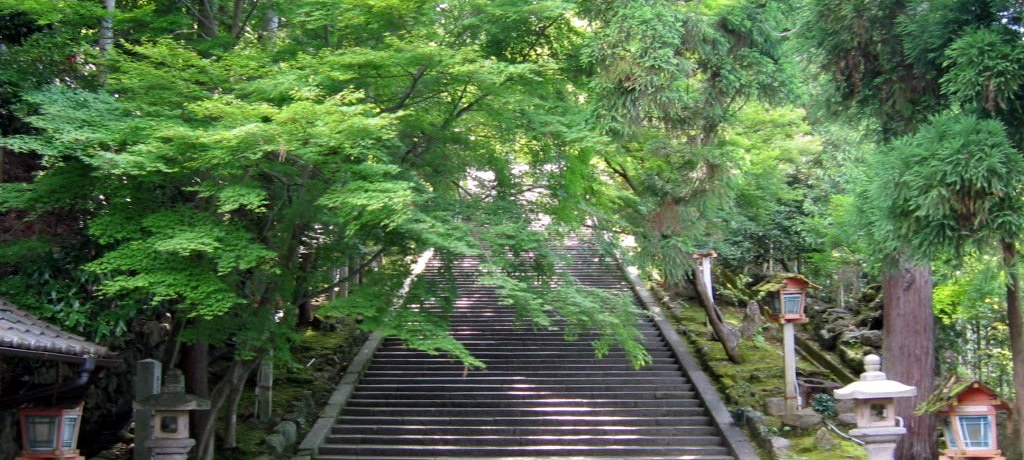 �N�N�ДN�̎��_�I�\�O�܂���̎��A���R�u�@�֎��v�͐�i�|�C���g���I