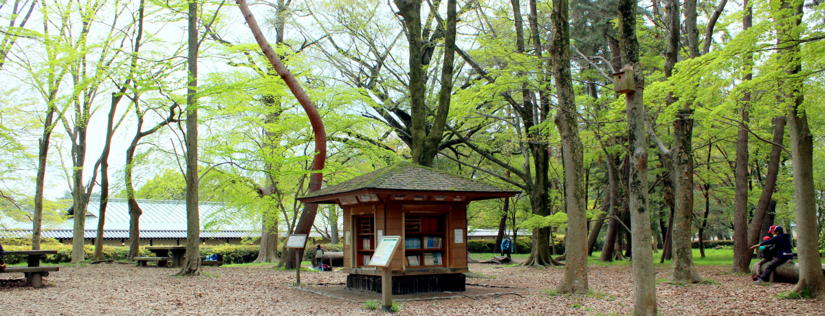 �u���s�䉑�v�ɂ̓����w���`�b�N�ȐX�̐}���ق�����I