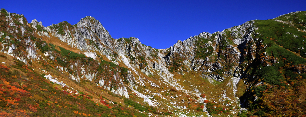 {ō̃[vEFCōsIE~J[̍gtɍsI