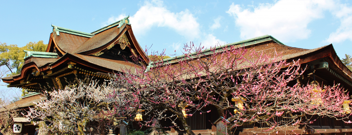 �t�܂ő҂ĂȂ��I�~�̋��s�͔~���߂��낤�I�~�̖����T�I