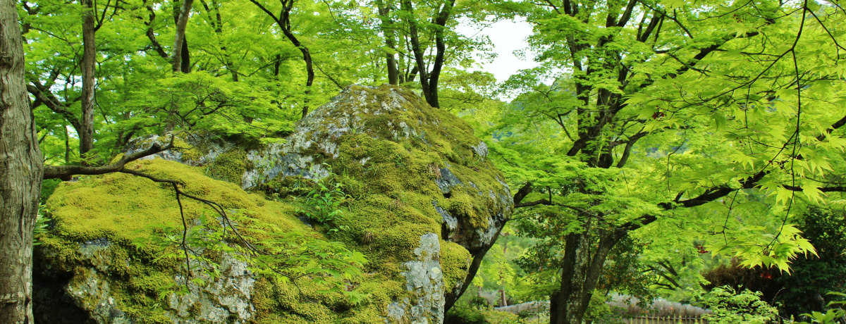 Ru󌵉@v̐݂\t̓ʔqρI