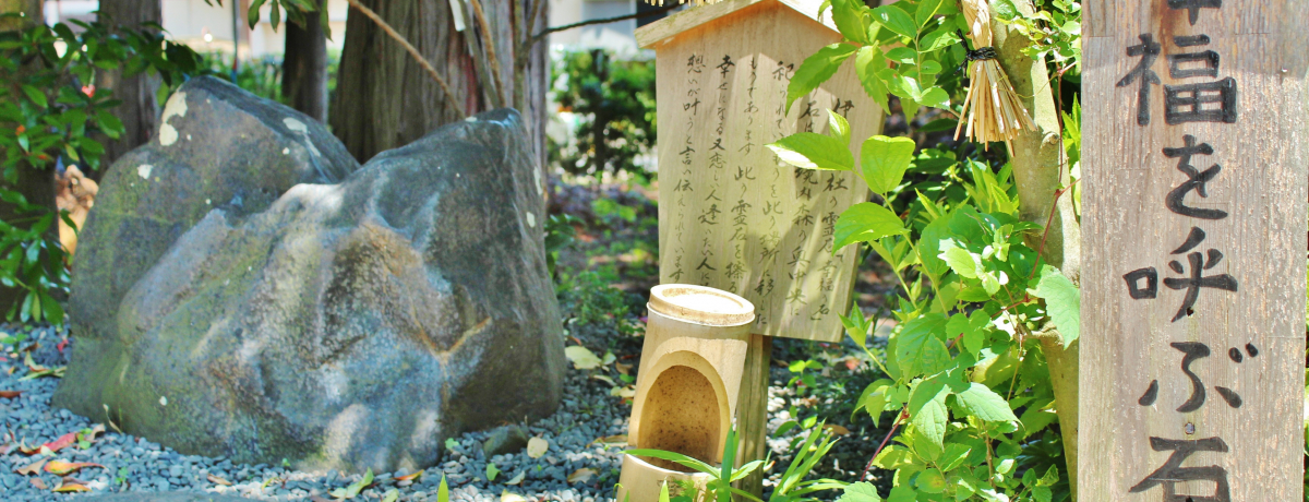 uɓ_Ёv̍KĂԐ΁In[gɃ^b`ŉ