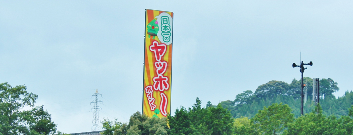 a̎Rubz[|Cgv̓{̂܂тlyI