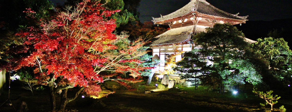 1100lIsu@vCgAbvԓʔq