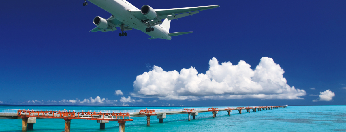 ����u���n����`17�G���h�v�̐�i�U���@�I�{�Ãu���[�̓V����