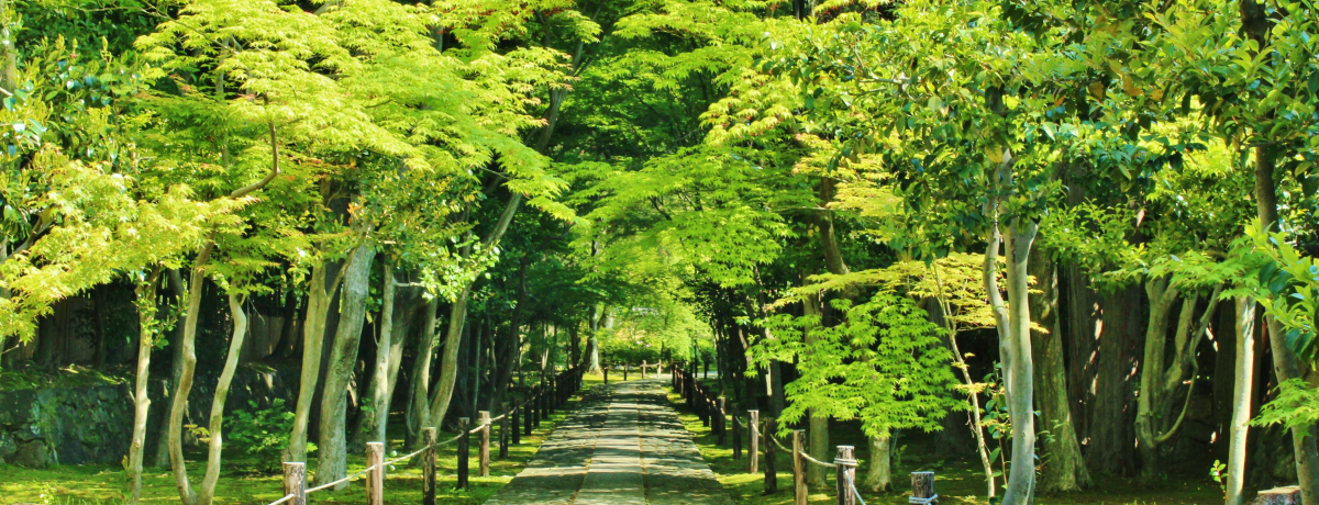 ���s���R�E�����G���A�u���݂��v�I�X�X�����@�܂Ƃ�