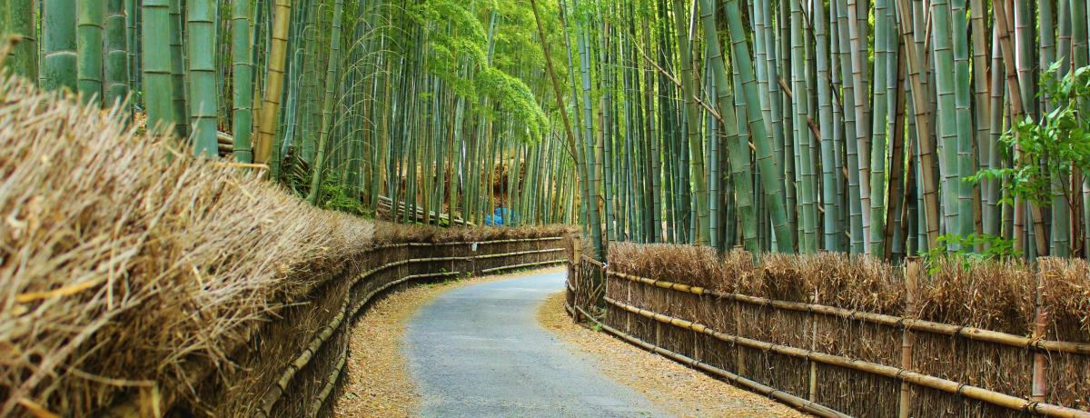 ���s�E�����s�u�|�̌a�v�͌���t�H�g�W�F�j�b�N�X�|�b�g�I