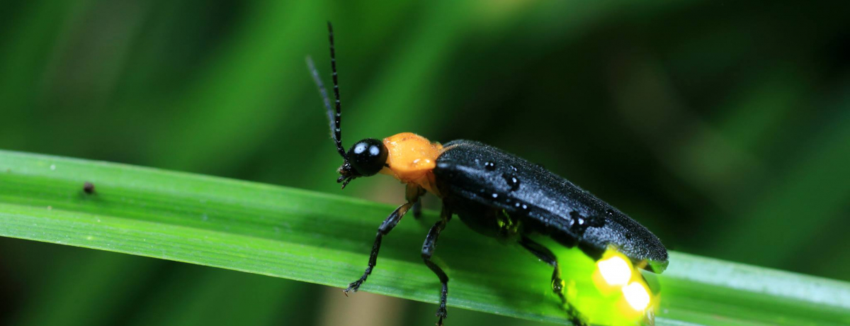 uvēz^فṽ~Xe[iCgEH[NŌ܊܂I