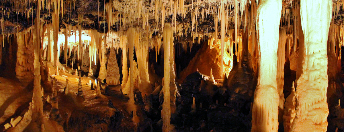 ��哌���u���쓴�v�͑z���𒴂���������̐�i�ߓ����I