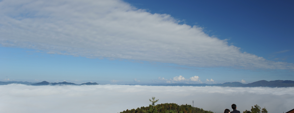 VIsu߂̃eXvOg̉_C𒭂߂悤