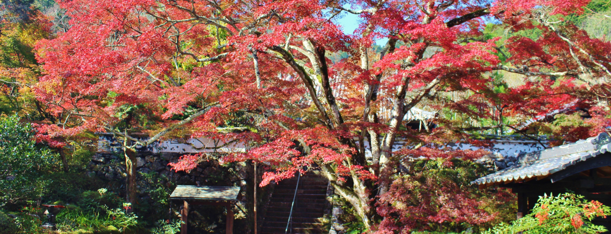 ���s�ő��I�T���u�_�����v�̍g�t������Ől�ɋ��������Ȃ��I