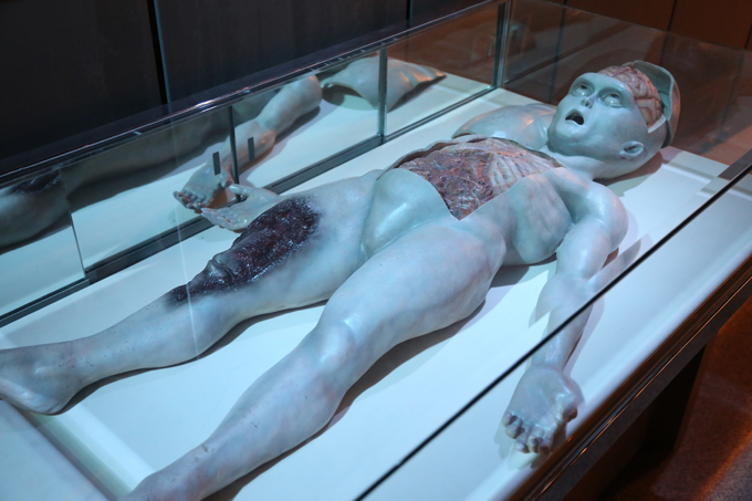 UFO�̒��ɂ���\�o�̉F���Ȋw�����فI�`�R�X���A�C���H��`