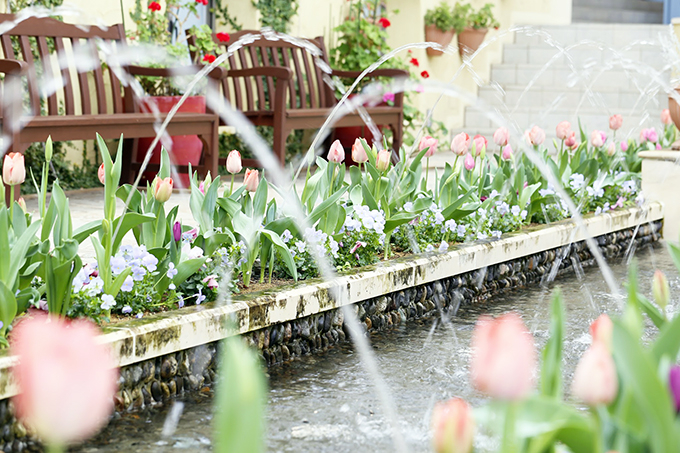 {C]ޖ̃K[fI`Ԃ̃~[WA t[B`