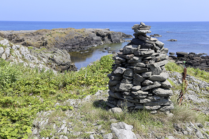 �C������n�蒹�̊y���I���{�C�ɕ����Ԑ�i�̌Ǔ��I�`�w�q���`