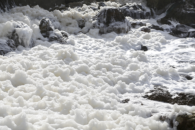 �\�o�̓~�̕������I�C�ӂɕ������z�I�ȉԐ���I�`�g�̉ԁ`