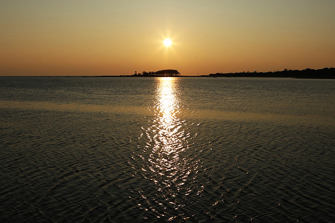 \o][gGAw̗[zr[X|bgI`ٓV`