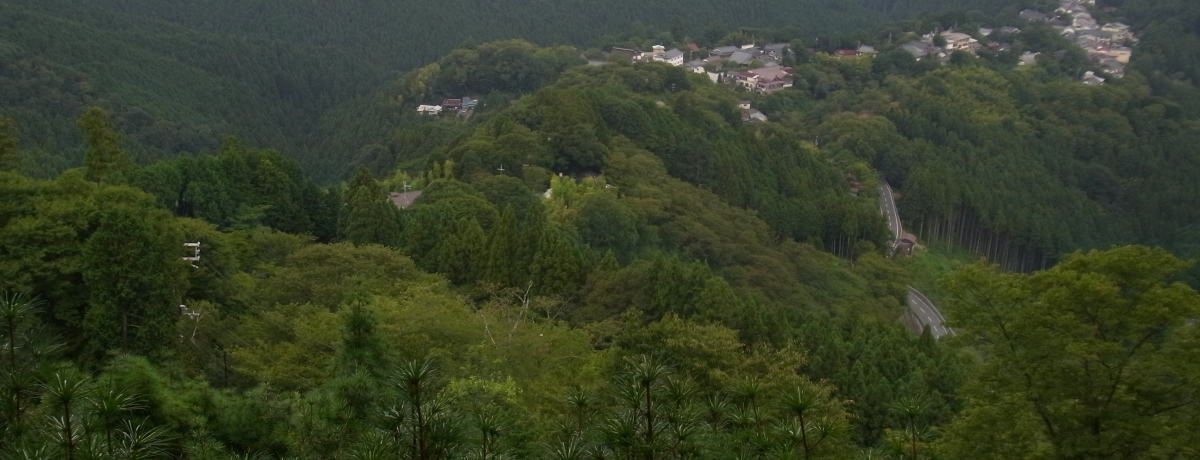 桜・紅葉だけじゃない吉野山！オフシーズンだから出来るじっくり
