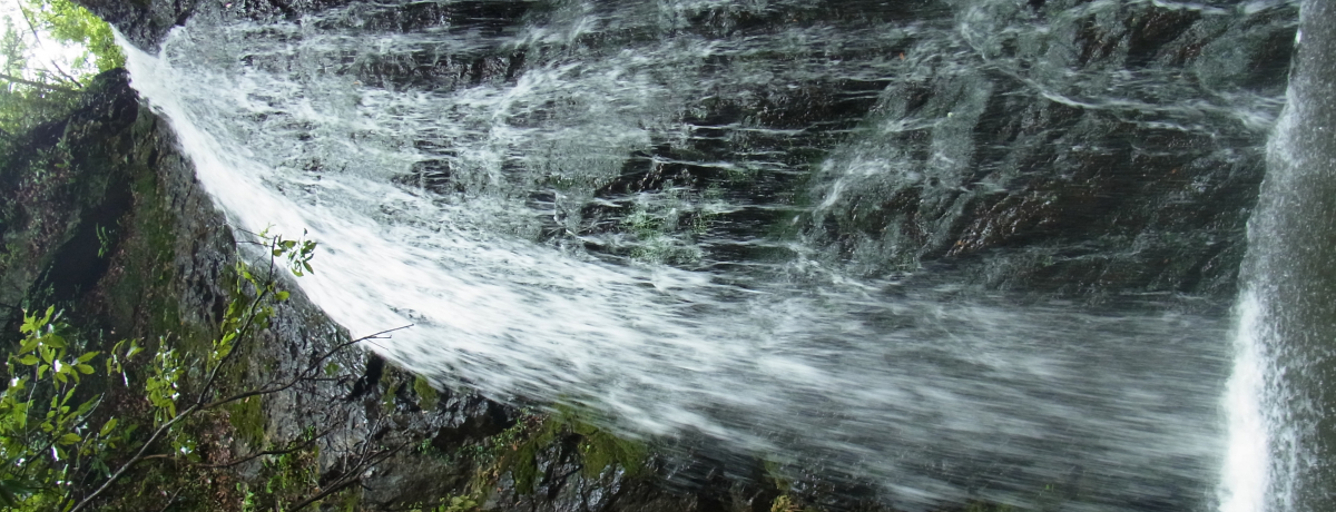 X̔鋫 BꂠAÙ̕ˁEŖ