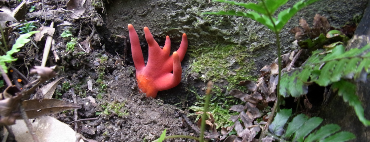 ቫɏo`s[̂ƕς߂`