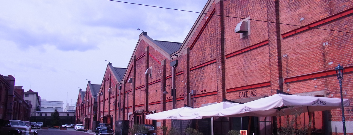 RCICVق̂`̃v`󓇁uVێRv̖