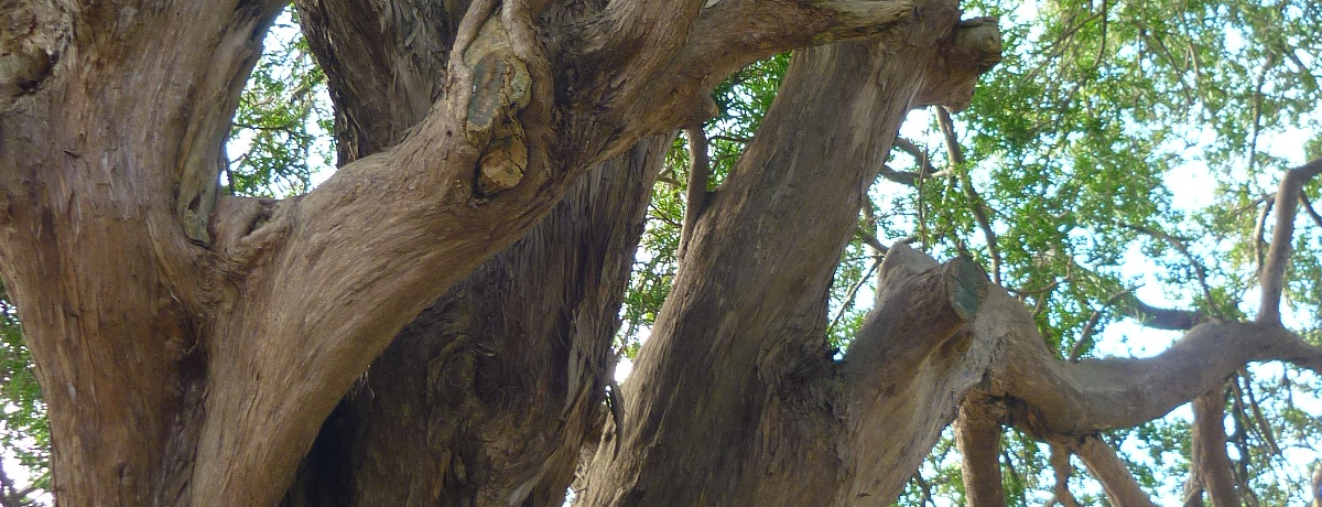 qwk14Ak𐭎q䂩́u{@vẼNTI