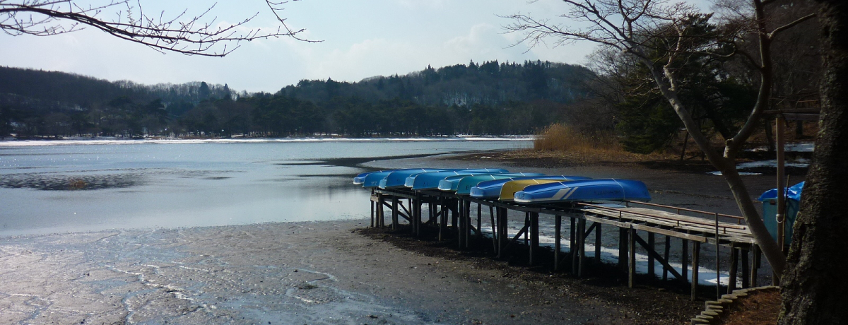 {ŌÂ̒뉀Ƃ镟͎śuΌv