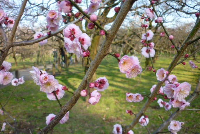 1003000{炭A˘y̔~܂