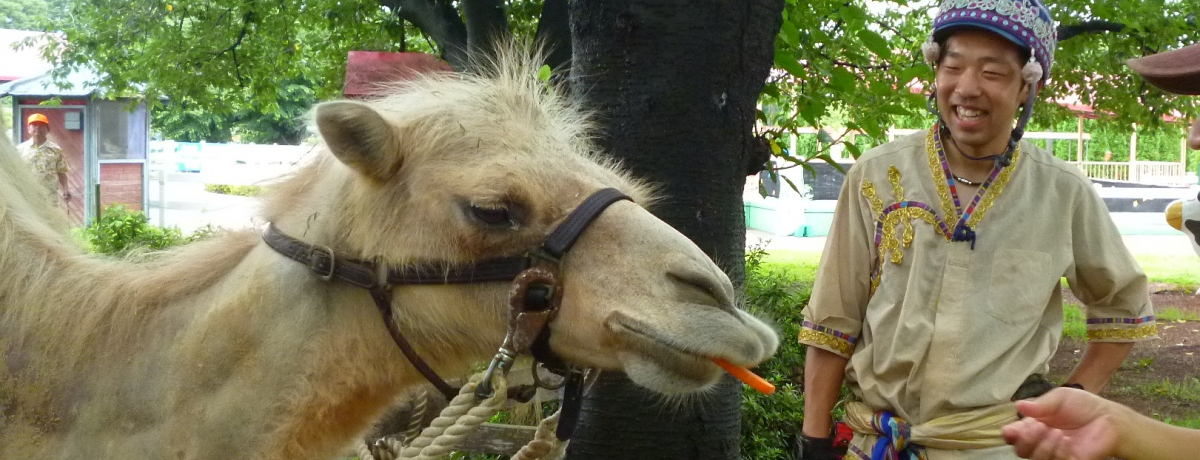 �������ō���5�ʂ̐l�C�I��ʁE�������������̐i�����~�܂�Ȃ�