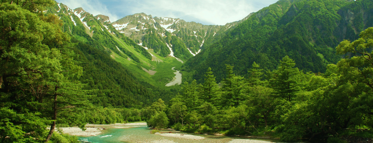 ꂪ{!?oXԂTŏo鑧̂ޏ㍂n̐i!!