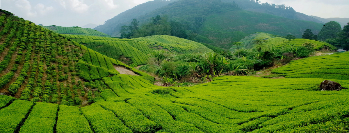 }[VǍyuLnChvŉ߂ɏ̋x