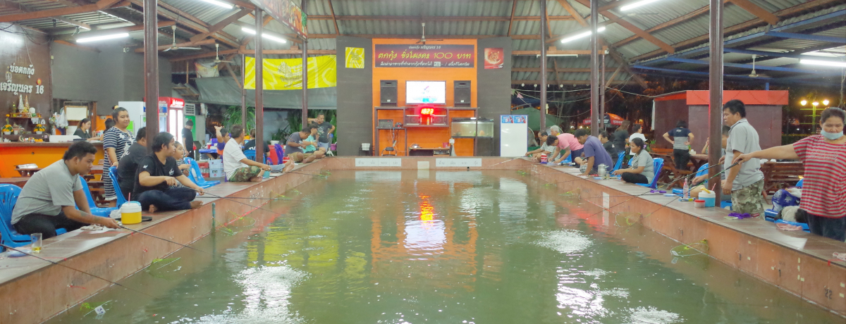 oRŇIǃ[JgGrނhX|bgŃGrH