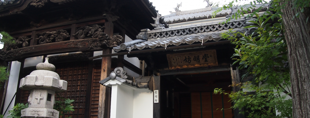 hVɔ܂낤I`EP͑SL̏hVp_CX