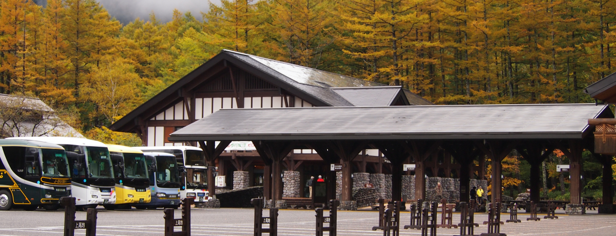 MBgt̑\i`㍂nŏH̃gbLOy