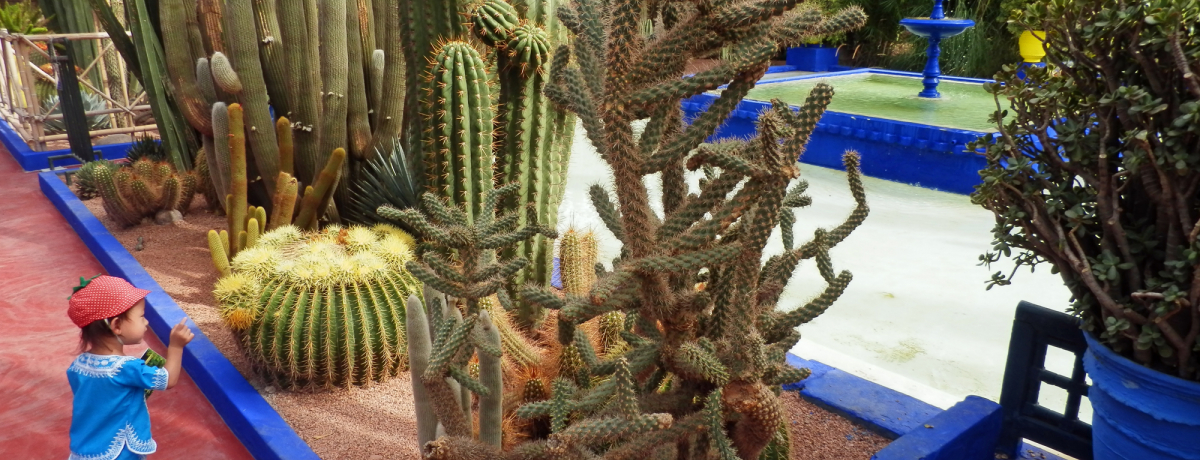 T[̈}W뉀́A}PV̊yIibRj