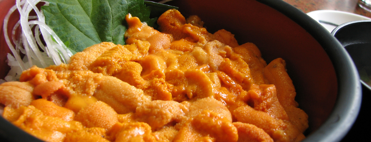 �Ă̗]�s�ɍs���Ȃ�ϒO�����ւ��I�{�̐ԃE�j�ƐϒO�u���[�̐�i�I