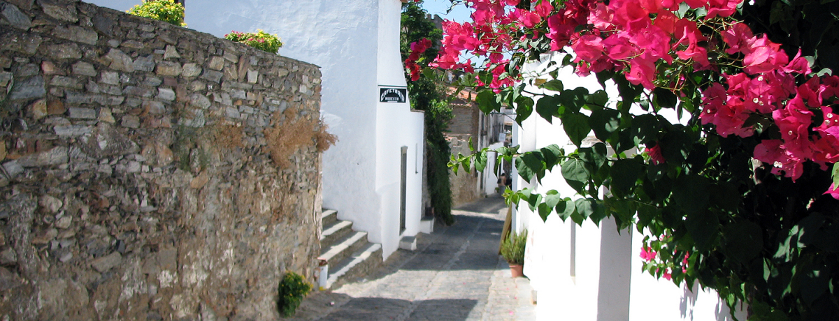 CMłbIق̉A郂T[Vi|gKj