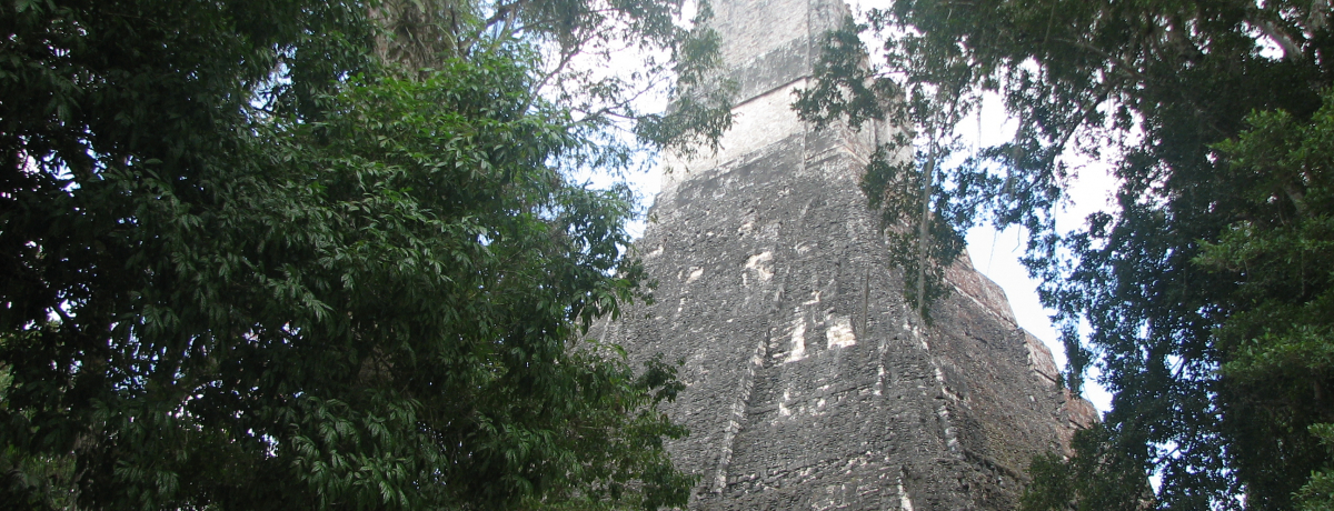 }̑ssIWOɐށÃeBJՁiO@e}j